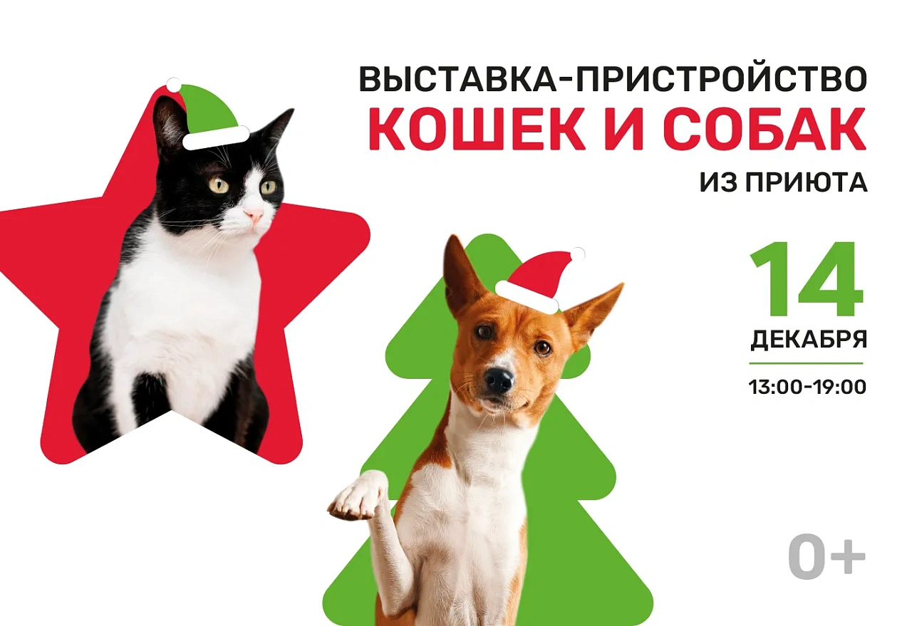 Выставка-пристройство животных из приюта